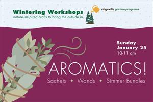 Aromatics Workshop