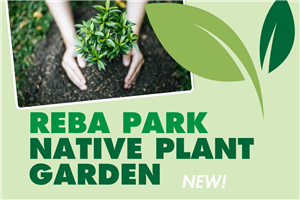 Reba Native Plant Garden Update